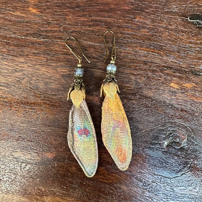 Winged Earrings with Turquoise Bead