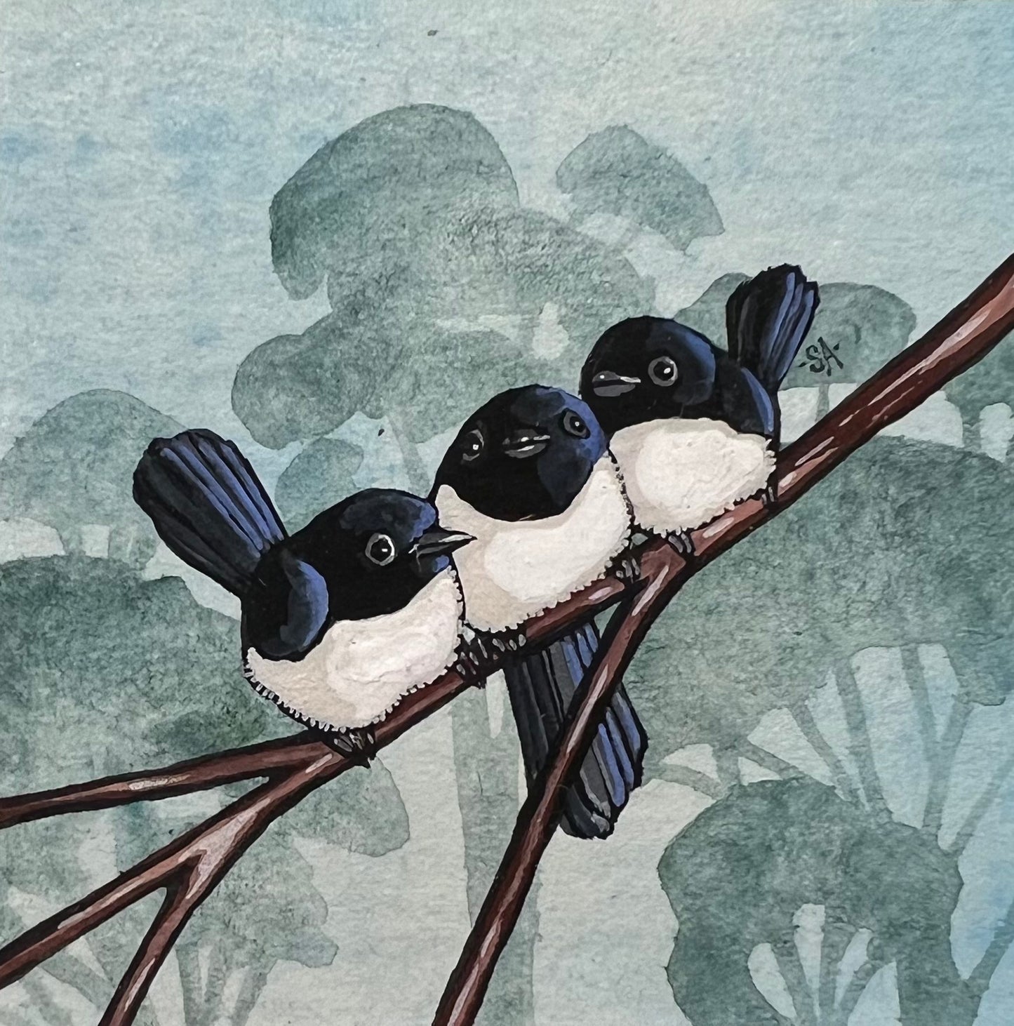Three Willy Wagtails, Cobalt Blue