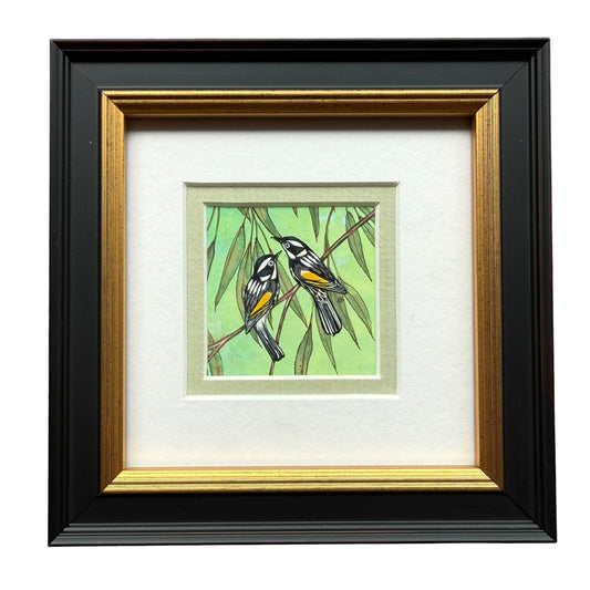 New Holland Honeyeater - Soft Green 2026
