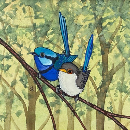 Splendid Fairy Wren Duo - Forest Green 2026