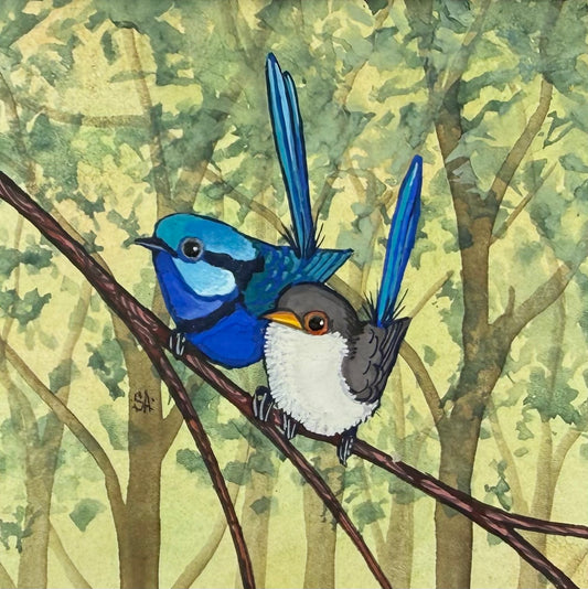 Splendid Fairy Wren Duo - Forest Green 2026