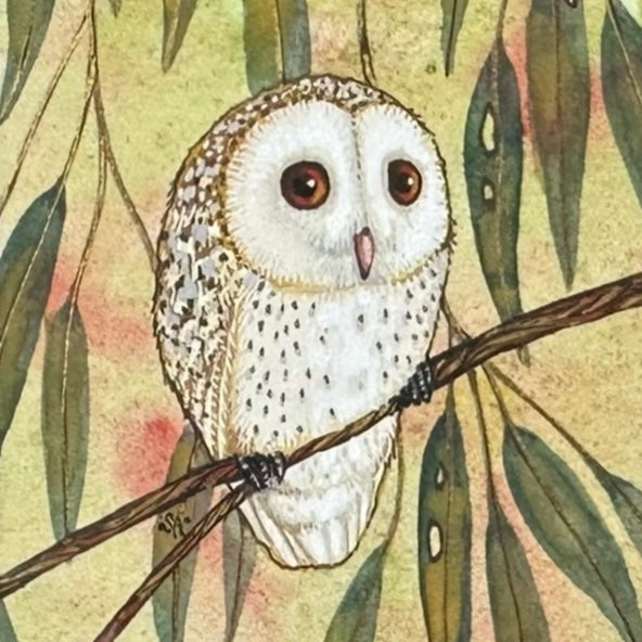 1 Barn Owl, Spring 2026