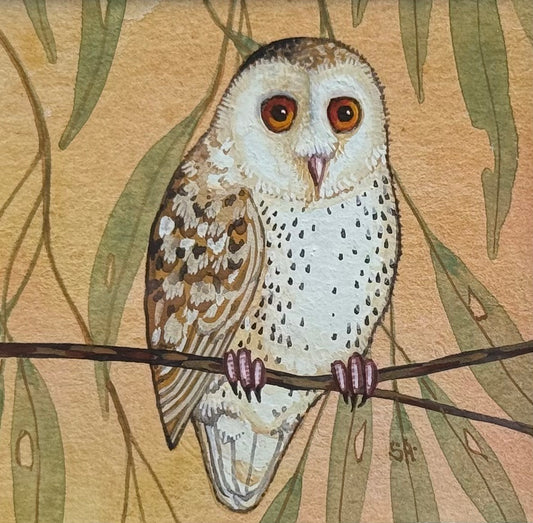 Barn Owl - Olive 2026
