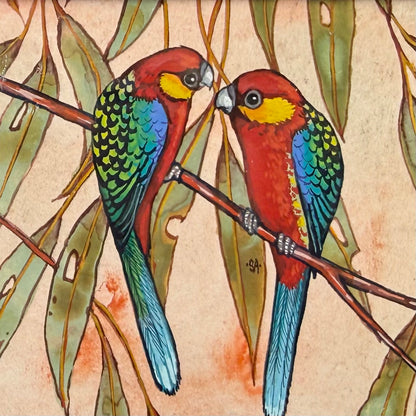 Western Rosella Duo - Blue, Spring 2026