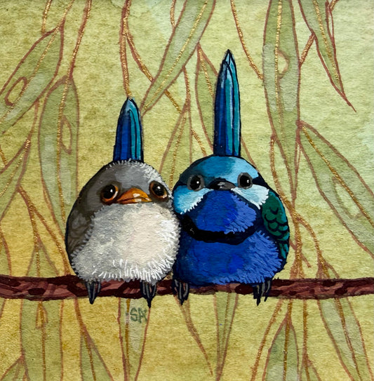 Splendid Fairy Wren Duo - Light Blue 2026