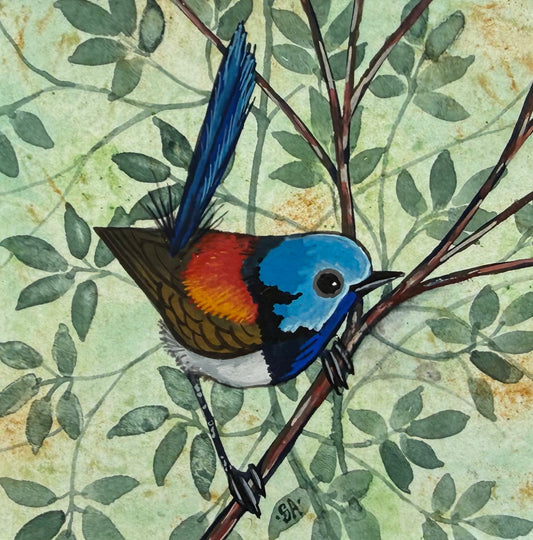 Variegated Fairy Wren - Dark Green 2026