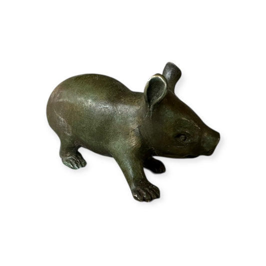 Hairy-Nosed Wombat Joey 1 of 50