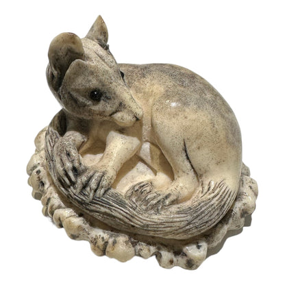 Quoll with Grass Hopper - Exhibition Nov 2023