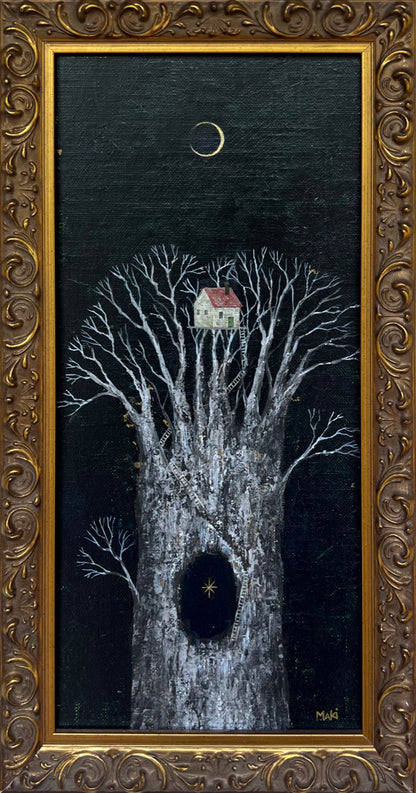 observer of Sirius