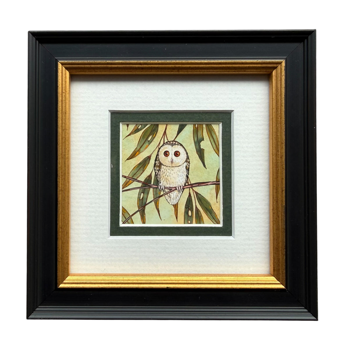 Barn Owl - Forest Green, Spring 2026