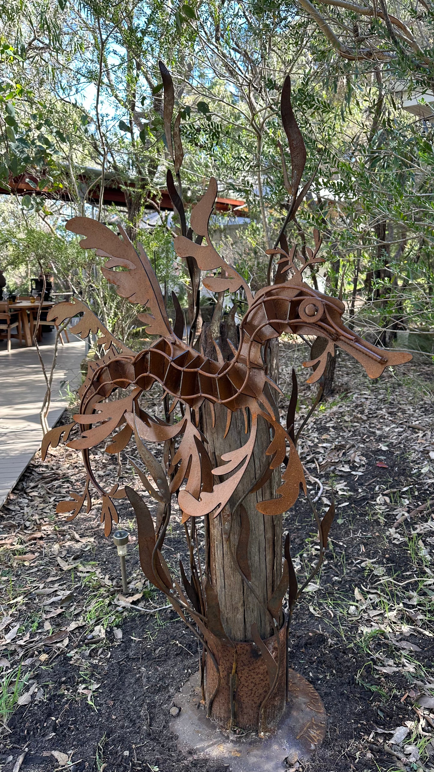 Sea Dragon