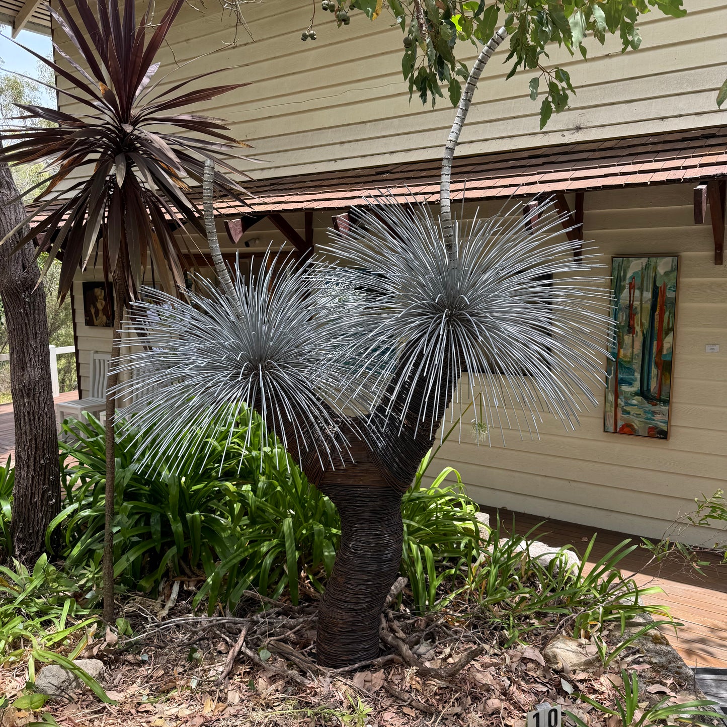 Grass Tree XIII