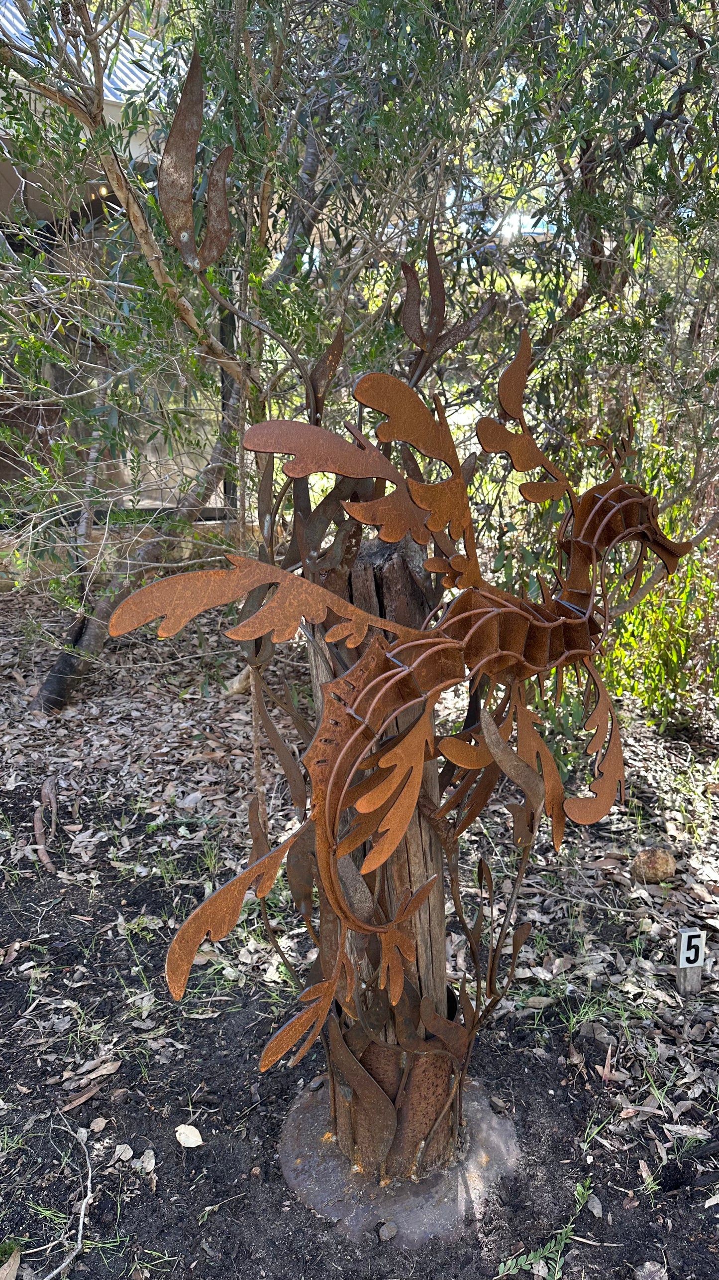 Sea Dragon
