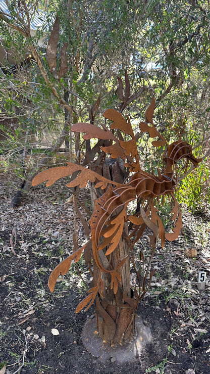 Sea Dragon