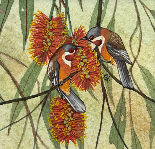 Western Spinebill Duo - Forest Green 2026