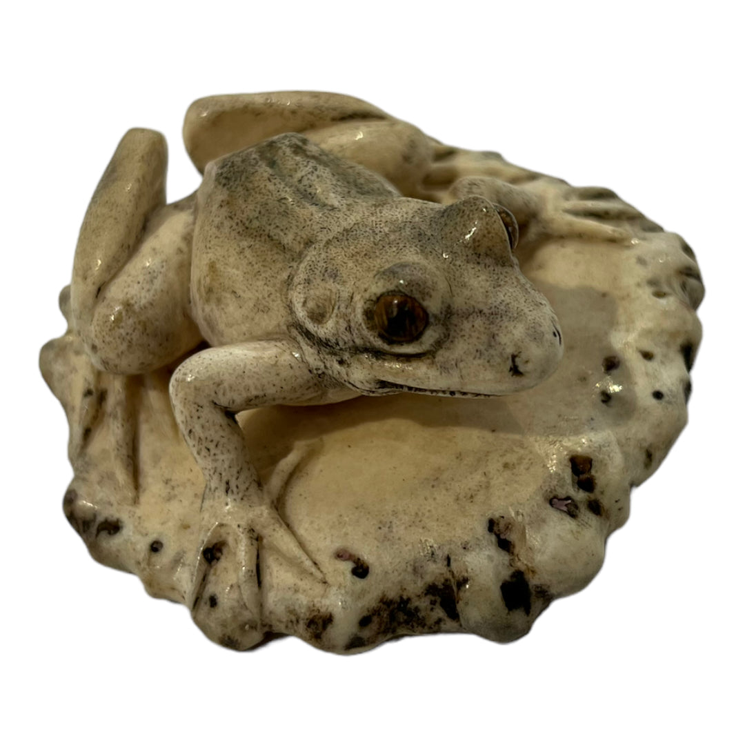 Frog with Fly - Exhibition Nov 2023
