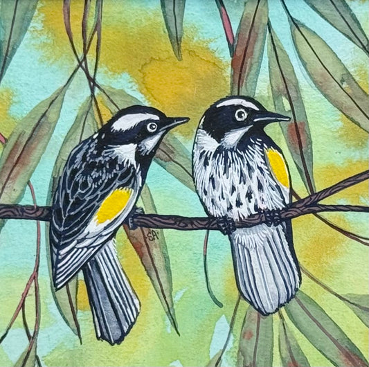New Holland Honey Eater - Olive 2026