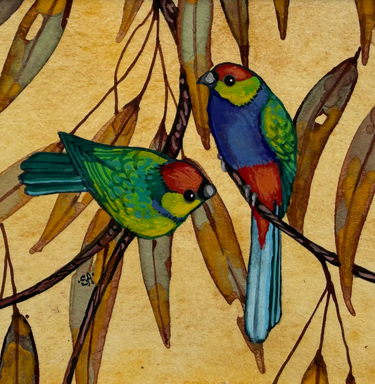 Red Capped Parrot - Soft Green 2026
