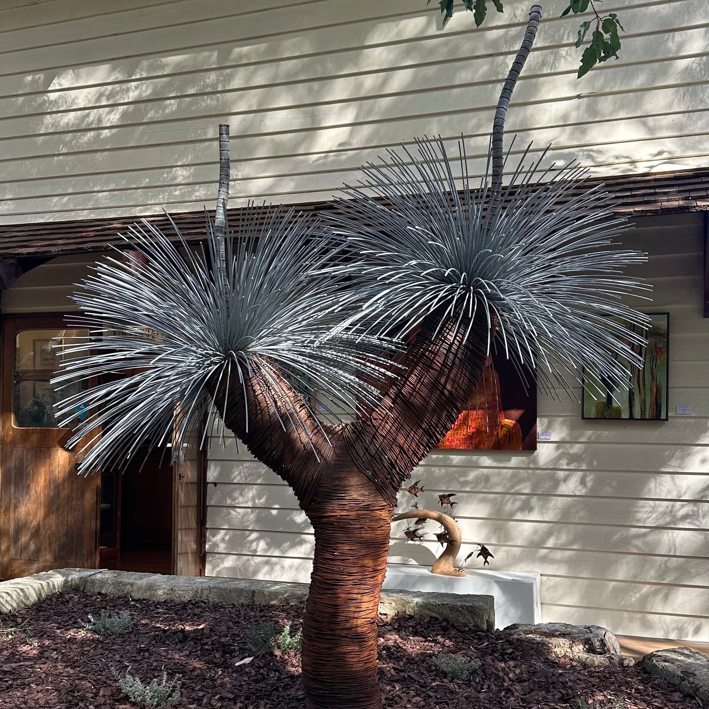 Grass Tree XV