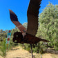 Goliath Cockatoo on the Move