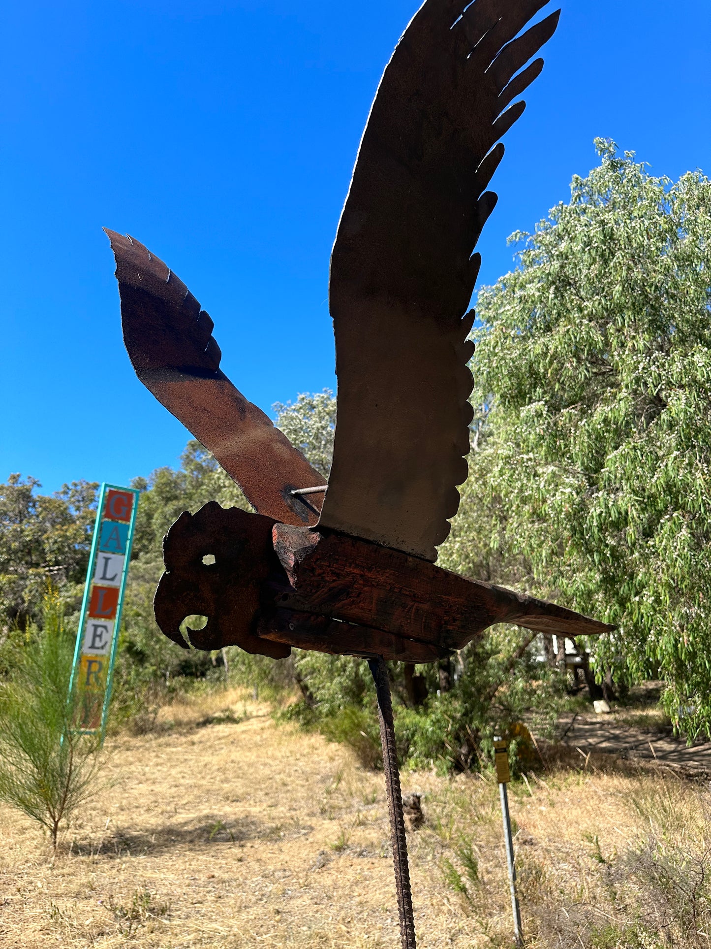 Goliath Cockatoo on the Move Series