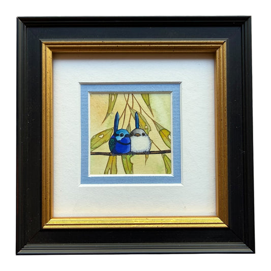 Variegated Fairy Wren Duo II 2026