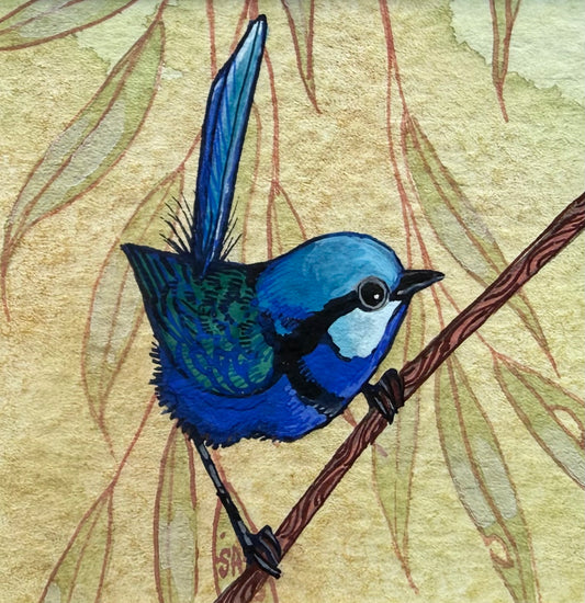 Splendid Fairy Wren I - Light Blue 2026