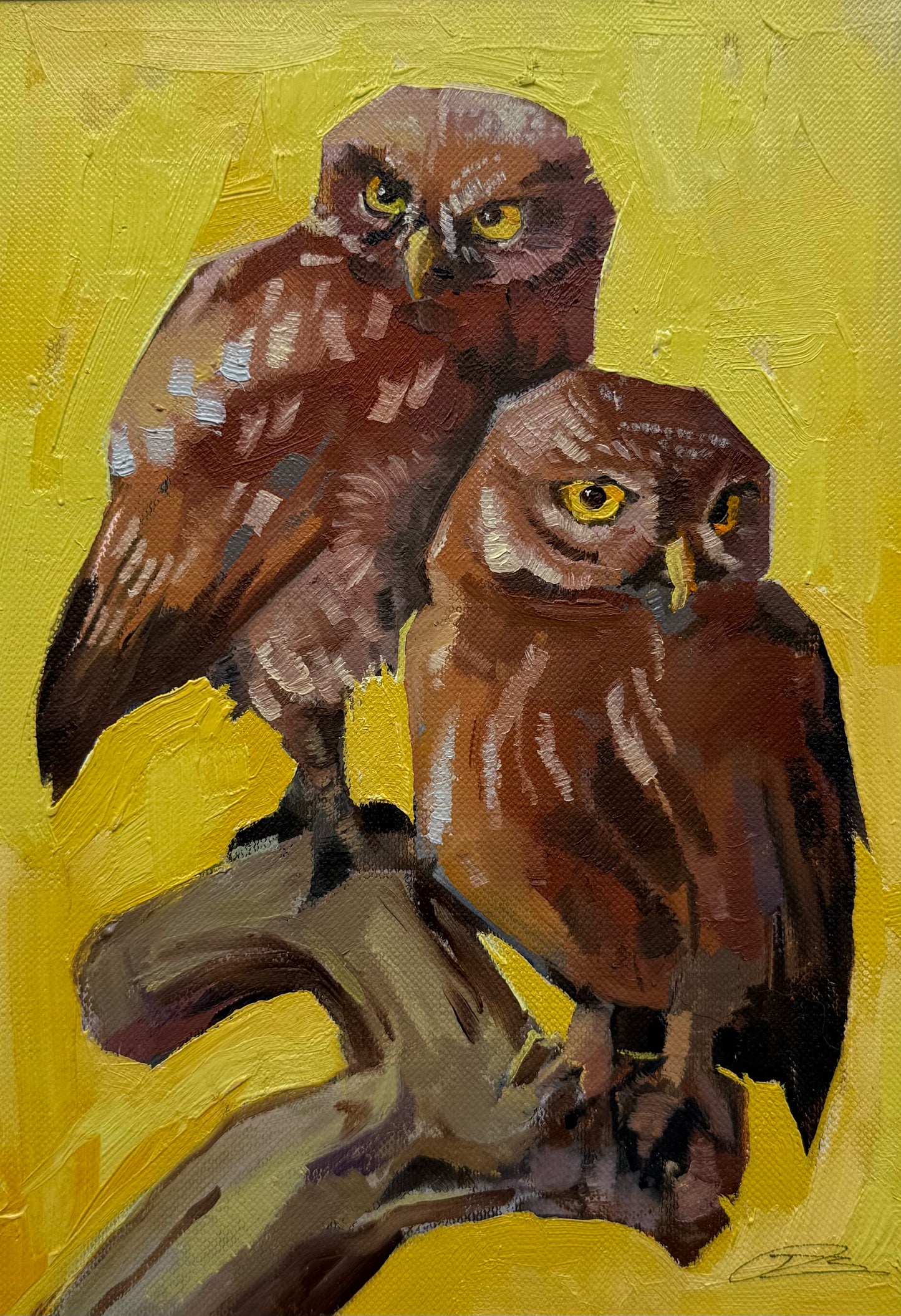 Yellow Eye