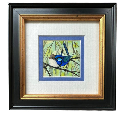 2 Splendid Fairy Wren - Left Facing, Spring 2026