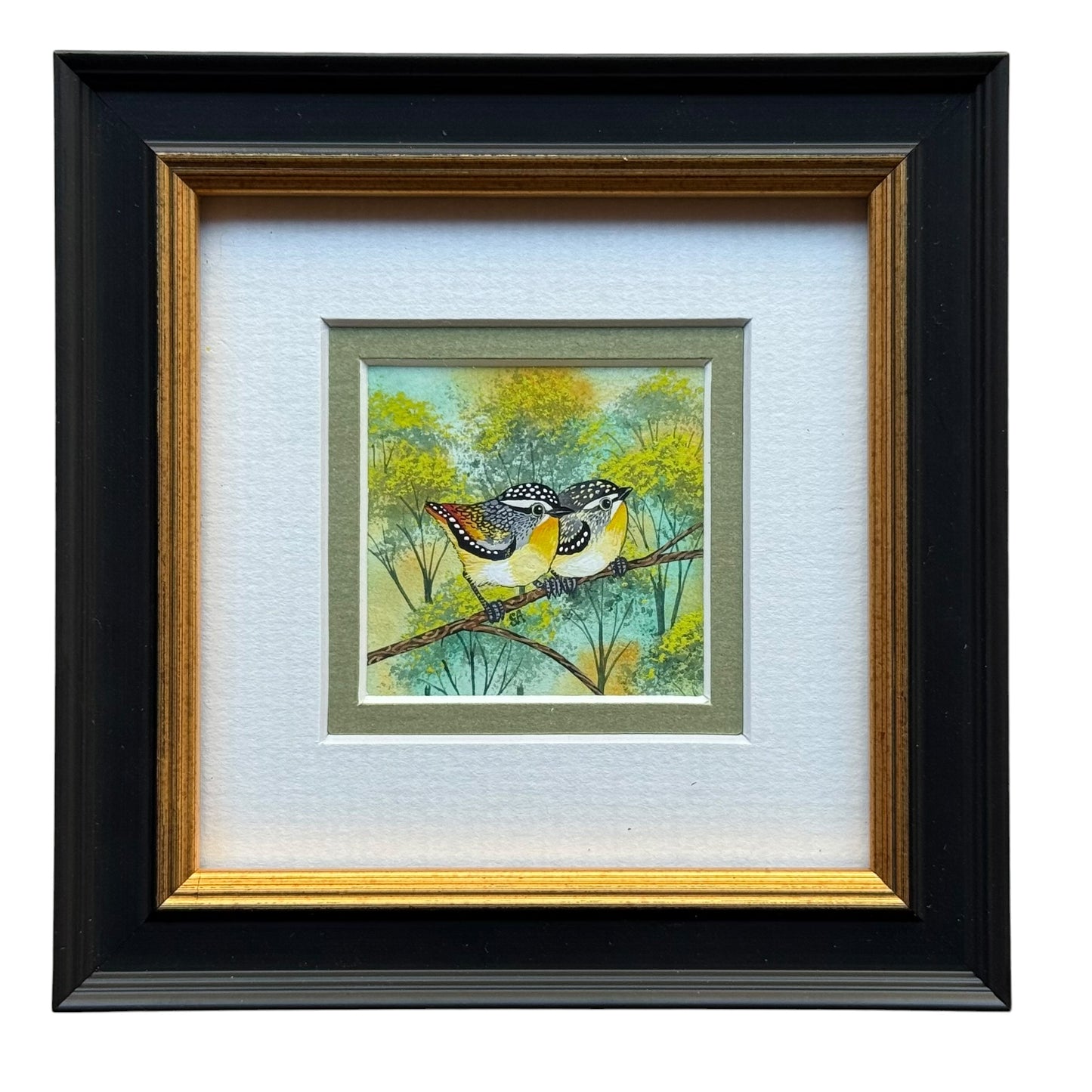 Spotted Pardalote Duo - Soft Green 2026