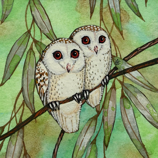 Barn Owl Duo - Soft Green 2026