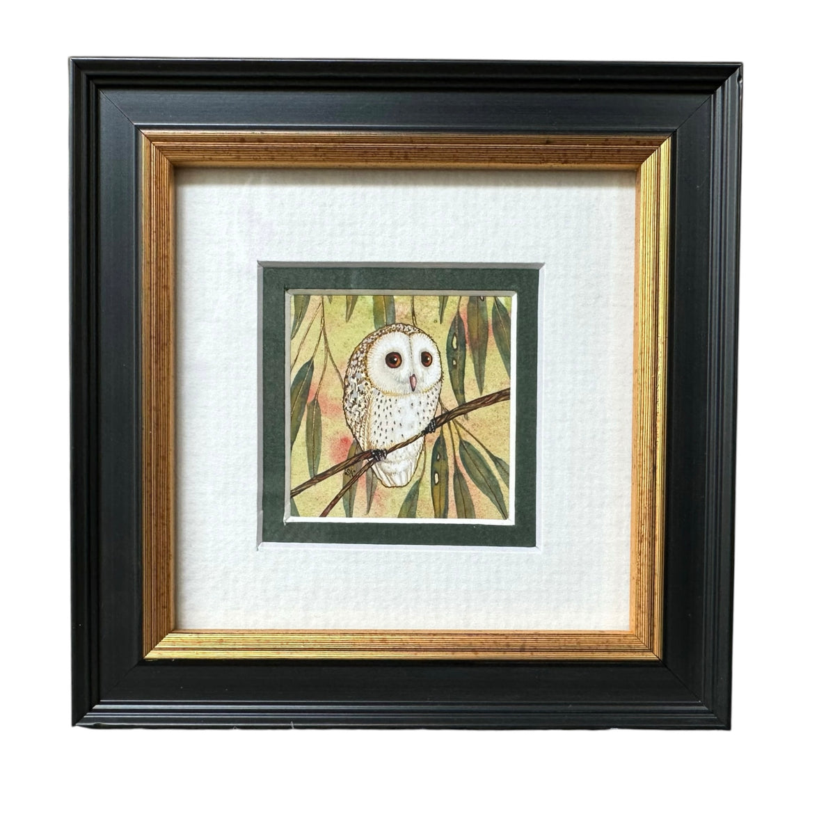 1 Barn Owl, Spring 2026
