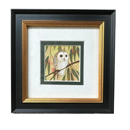 1 Barn Owl, Spring 2026