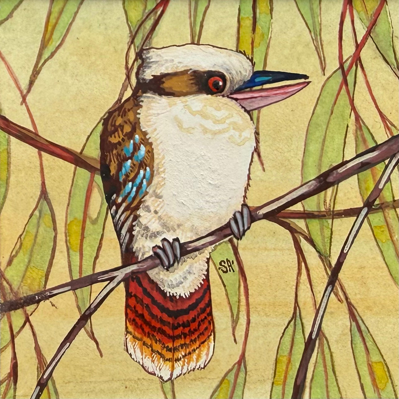 Kookaburra - Navy, Spring 2026