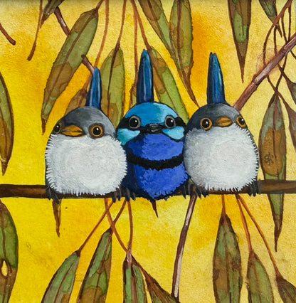 Splendid Fairy Wren Trio - Navy 2026