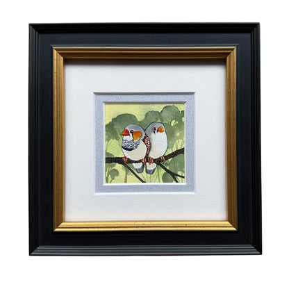 Zebra Finch - Summer 2025