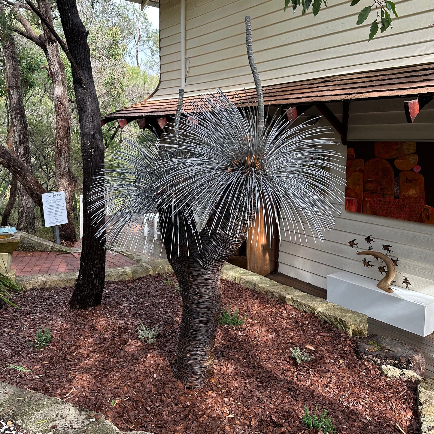 Grass Tree XVI