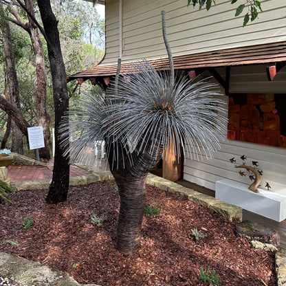 Grass Tree XVI