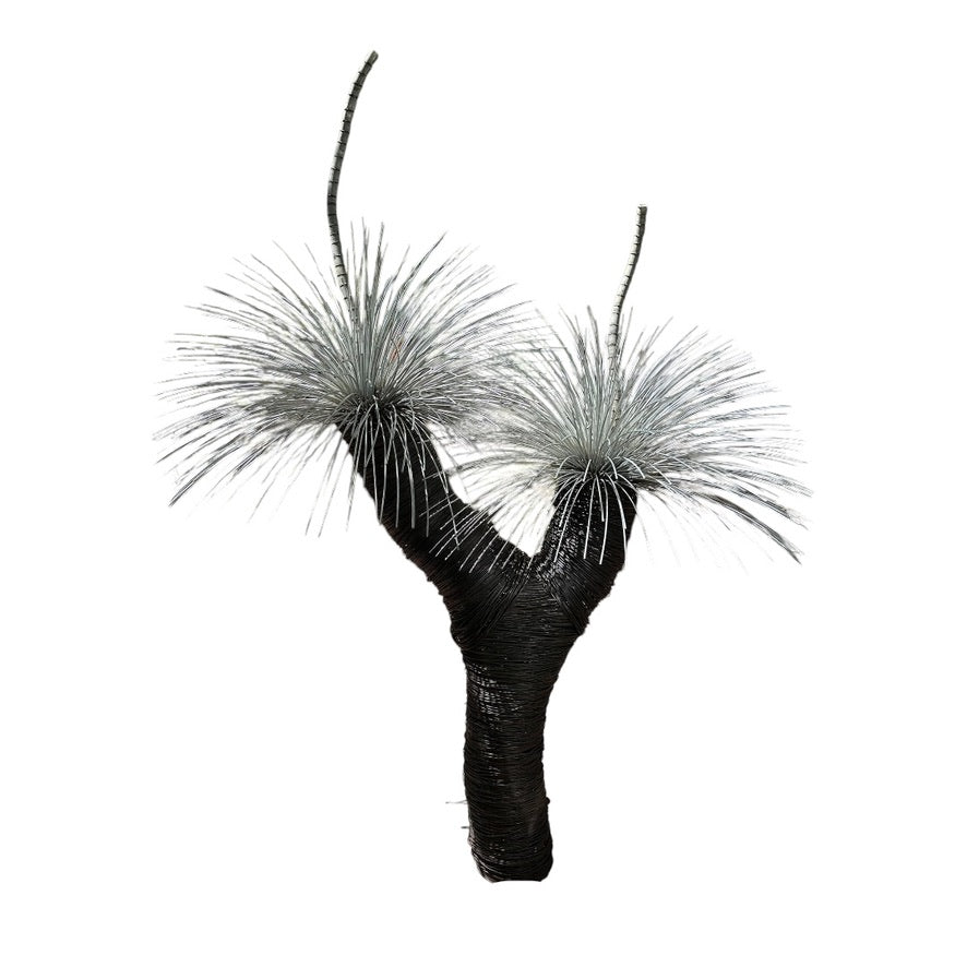 Grass Tree VIII
