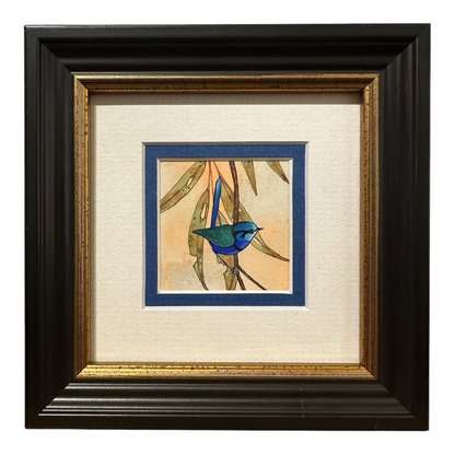 Splendid Fairy Wren Looking Right - Spring 2025