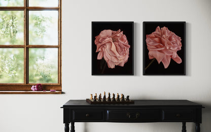 Rose II
