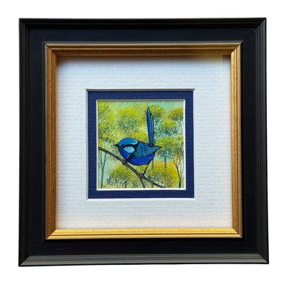 Splendid Fairy Wren - Navy Winter 2026
