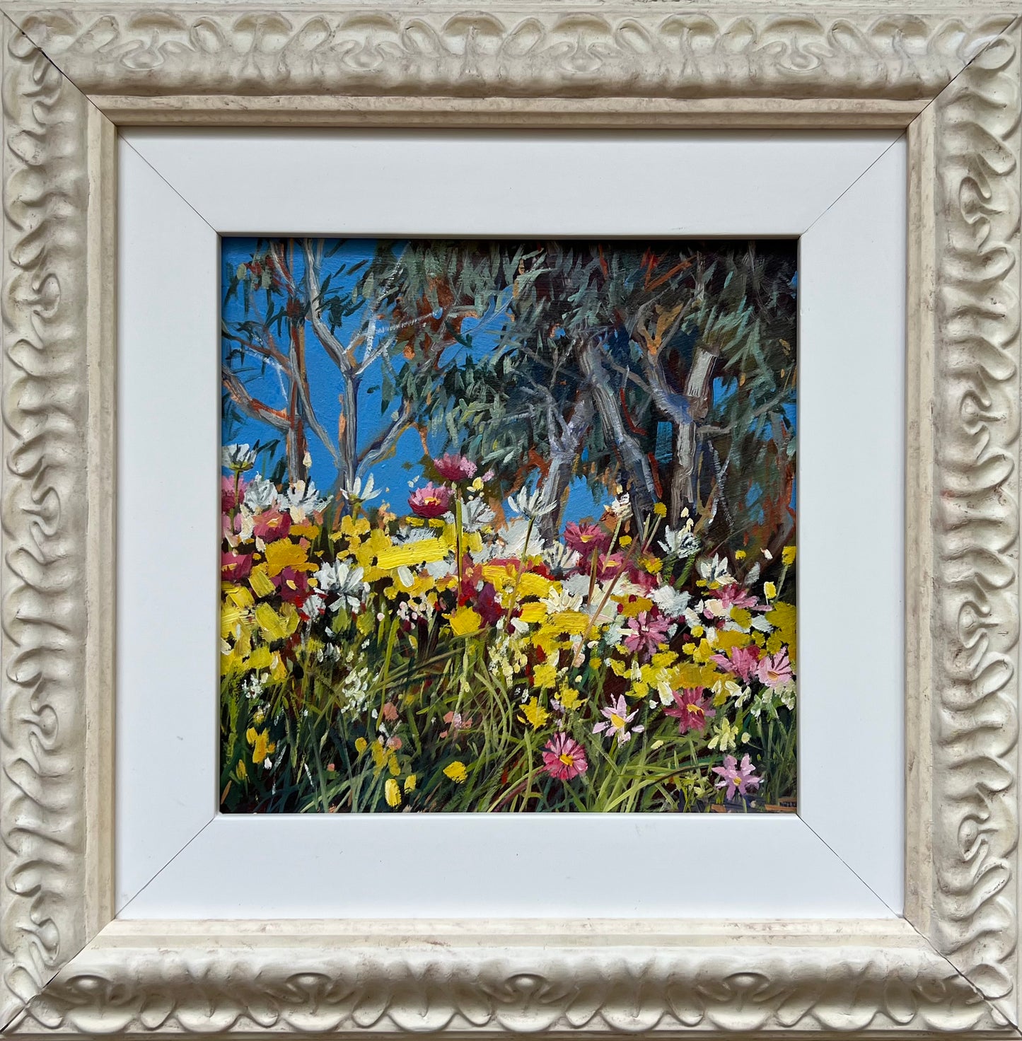 Kings Park Springtime
