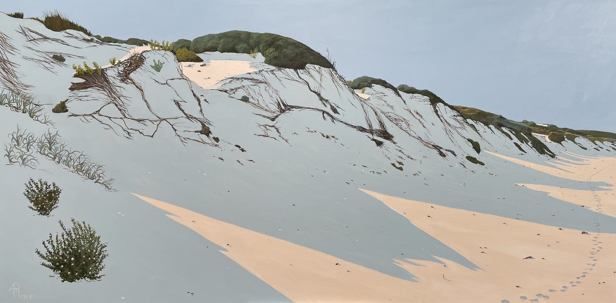 Boodjidup Dune Shadows 16