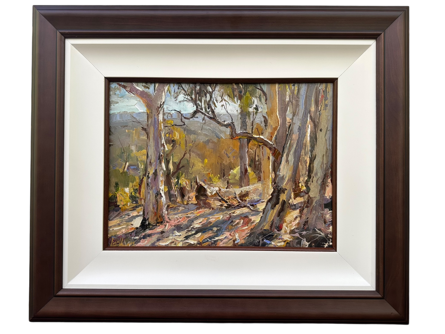 Wandoo Land