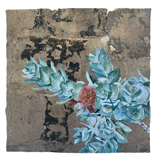 New Sensation - Confluence Exhibition