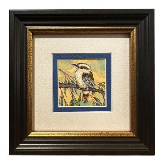 Kookaburra - Spring 2025