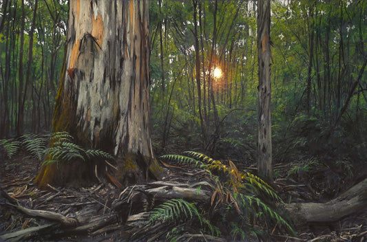 The Quiet Karri