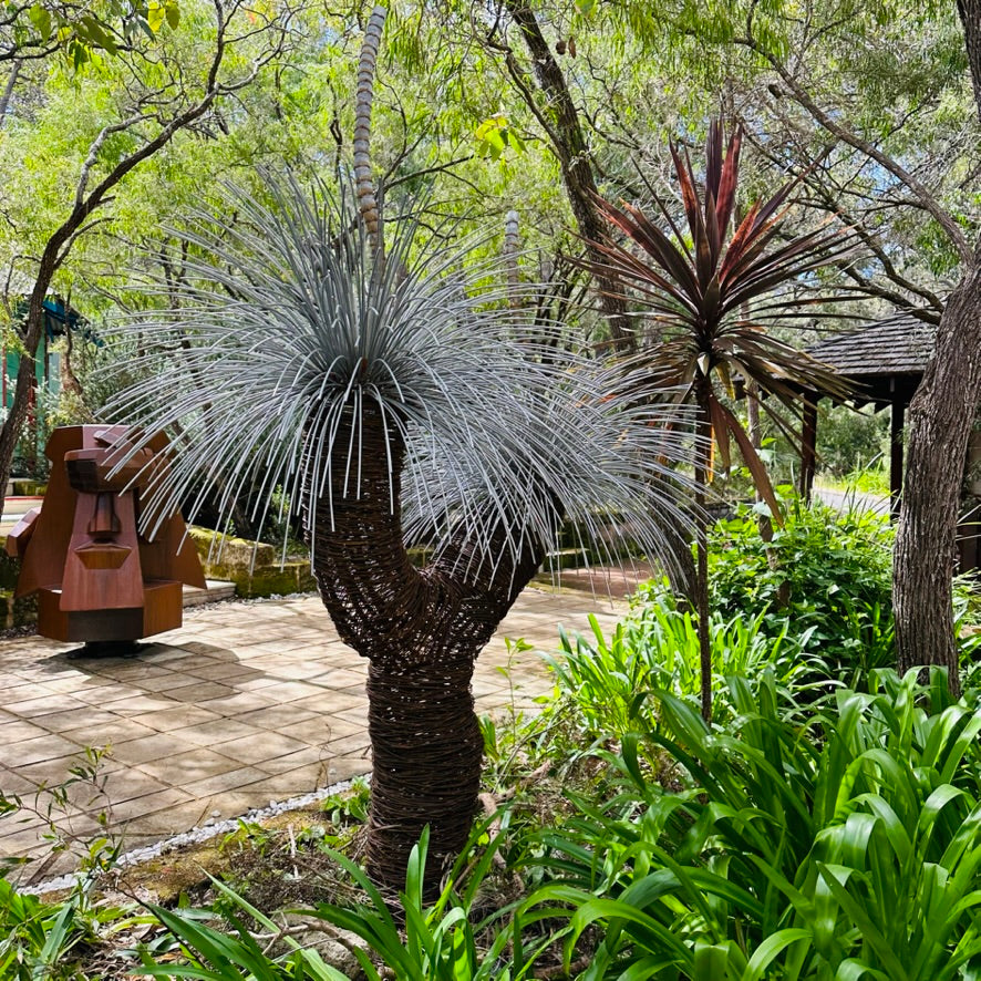 Grass Tree Sculpture II