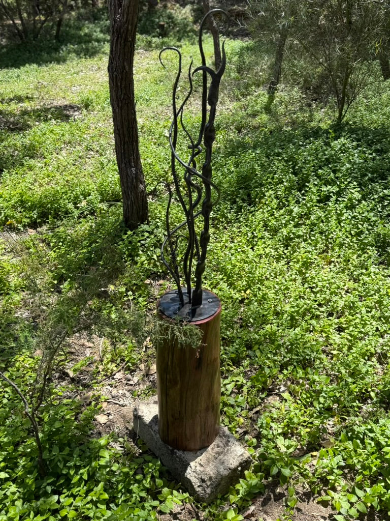 Echoes of the Forge I